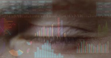 Yeşil ela göz, yarı şeffaf bar grafikleri, çizgi grafikleri ve pasta grafiği ile görselleştiriliyor. Veri, analitik, görselleştirme, biyometrik, teknoloji, yenilik, sağlık