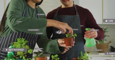 Mutfakta yemek pişirme dersi sunan ev sahipleri, abone olunan, bildirilmiş sevilen örtüleri gösteriyor. Yemek, aşçılık, çağdaş, canlı, takım çalışması, yaratıcı, hazırlık