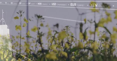 Sarı çiçekler büyüyor, rüzgâr türbinleri arkamızda dönüyor, finansal tablolar gökyüzünü kaplıyor. Doğa, yenilenebilir enerji, sürdürülebilirlik, finansal analiz, çevresel etki, organik, büyüme