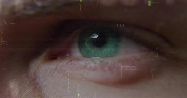 3D render, beyaz kareler ve ikili verilerle biyometrik taramadan geçen yeşil irisi gösteriyor. Fütürist, biyometrik, teknoloji, siber güvenlik, arayüz, dijital, soyut