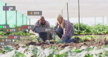 İş arkadaşları kumaş tarımına fidanlar ekiyor, yüzen sosyal medya simgeleri sergiliyor. Kentsel tarım, sürdürülebilir tarım, toplum bahçeciliği, çevre dostu, doğal çevre, takım çalışması, yeşil yaşam tarzı