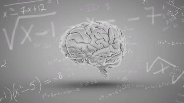 Üç boyutlu süzülen beyin modeli gri stüdyoda görüntüleniyor, Gyri ve matematik formülleri gösteriliyor. Nöral, nörobilim, eğitim, fütüristik, minimalist, bilimsel, veri
