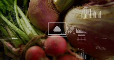 Dijital veriler ahşap tahtaya yüklenirken turp kümesi portakal kabağının yanında yüzüyor. Sebzeler, çiftlik, tarım, sağlık, organik, veri görselleştirme, dijital teknoloji