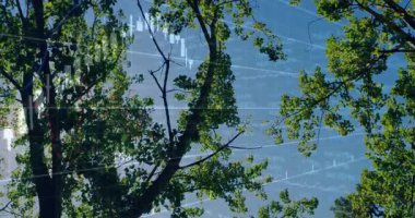 Finans kandili çubukları ve kılavuz çizgileri ağaç tepe örtüsü üzerinde her karede piyasa eğilimlerini gösteriyor. Doğa, büyüme, yatırım, görselleştirme, uyum, canlılık, dijital