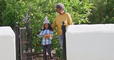 Mutlu Afrikalı Amerikalı torun ve büyükannenin bahçede limon topladığı bir video. Aile, aile hayatı ve birliktelik kavramı dijital olarak oluşturulmuş video.