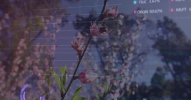 Başlangıçta, pembe tomurcuklar taşıyan dallar, şebekeler zayıflıyor, çizelgeler atıyor ve halkalar eğilimleri gösteriyor. Botanik, veri görselleştirme, büyüme, analitik, doğadan esinlenilmiş, ilerleme, uyum