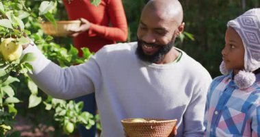 Mutlu Afrikalı Amerikalı baba ve kızının bahçede limon topladığı bir video. Aile, aile hayatı ve birliktelik kavramı dijital olarak oluşturulmuş video.