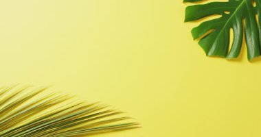 Sarı arkaplanda yeşil canavarlar ve palmiye yaprakları var. Dijital olarak üretilen tropikal, egzotik arka plan konsepti.