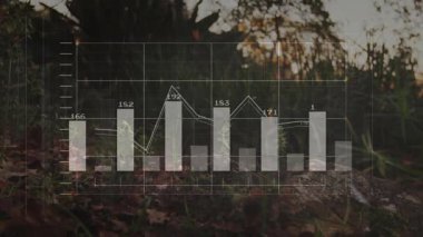 Yapraklı orman tabanı şeffaf örtüyü başlatıyor parmaklıkları ve çizgi grafik tanıtımını gösteriyor. Analizler, veri görselleştirme, grafik, grafik, grafik, bilgi, dijital, soyut