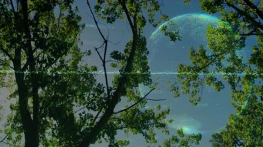 Ağaç uzuvları mavi gökyüzünü çerçevelerken arıza hattı da canlı enerji alanı oluşturarak teknolojiyi resmediyor. Doğa, dijital alarm, soyut, fütüristik, canlı, bilim kurgu, aydınlatma