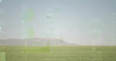 Turta grafiği geniş yeşil ekin tarlalarında kayboluyor. Hasat verilerini gösteren grafikler zayıflıyor. Tarım, veri görselleştirme, analitik, tarım arazisi, çevre dostu, dijital örtüler, üretkenlik