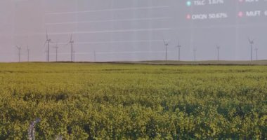 Sarı ekinlerin ve türbinlerin üzerindeki şebeke soluyor veri elemanları canlandırıyor ve görselleştiriyor. Sürdürülebilirlik, yenilenebilirlik, manzara, veri görselleştirme, eko, teknoloji, minimalizm