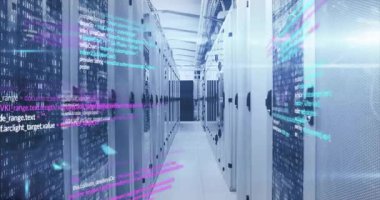 Koridorun kenarlarından süzülen eflatun kod çizgileri sonra görselleştiren veri akışını birleştiriyor. Siber, teknoloji, veri, dijital, geleceksel, soyut, ağ