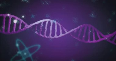 Başlangıçta DNA sarmalı, moleküler hareketi göstermek için parlayan simgelerin arasında renk değiştirirken kayar. Biyoteknoloji, yenilik, canlı, bilimsel, dijital, geleceksel, araştırma