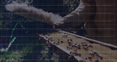 Kıdemli arı yetiştiricisi bal peteğini fırçalıyor, eğimli çerçeve şebekeyi gösteriyor, piyasa haritalarını canlandırıyor. Teknoloji, veri, analiz, doğa, sanayi, profesyoneller, biyometrik