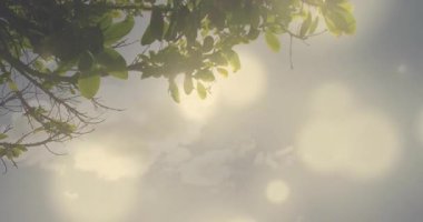 Kamera korkulukta çiftlerin seyahat pazarlaması için animasyon Bokeh 'le öpüştüğünü gösteriyor. Romantizm, samimiyet, sükunet, doğa, açık hava, günbatımı, manzara