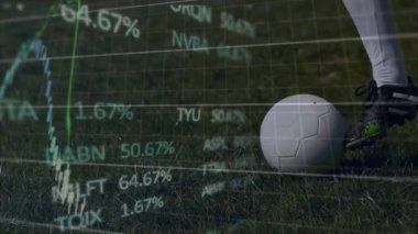 Çim sahada top atmak piyasa eğilimlerini gösteren mali tabloların değişmesine neden oluyor. Atletik, rekabet, hassasiyet, dinamik, spor, koçluk, performans