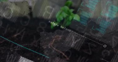 Karanlık topraktan filizlenen, dijital harita solan, parmaklıklar büyüyen ve yay ile görselleştirilen veriler. Büyüme, yenilik, teknoloji, sürdürülebilirlik, analitik, çevre, dijital