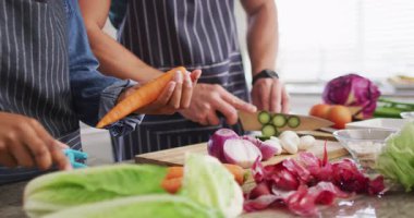 Animation of hands of diverse couple peeling vegetables and preparing meal in kitchen. Love, relationship and spending quality time together at home.