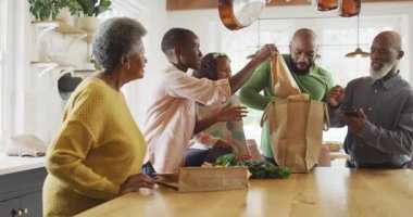 Mutlu Afro-Amerikan ebeveynlerin kızı ve büyükannesi ve büyükbabasıyla alışverişle eve gelişinin videosu. Aile, aile hayatı ve birliktelik kavramı dijital olarak oluşturulmuş video.