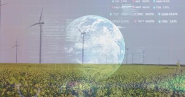 Çiçekler, dönen rüzgar türbinleri, solan dünya, titreşen grafikler, enerji eğilimlerini gösteren kaydırma kodları. Sürdürülebilirlik, yenilenebilirlik, teknoloji, dijital, çevre, enerji, soyut