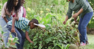 Mutlu Afro-Amerikan ailesinin bahçede paskalya yumurtası araması. Aile Paskalyası, kutlama ve birlikte dışarıda kaliteli zaman geçirmek..