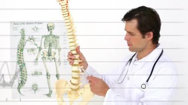 Erkek doktor omurga modelini kaldırırken sağlık tanıtımında belkemiğini gösteriyor. Tıbbi, eğitim, bilimsel, anatomik, klinik, eğitim, araştırma