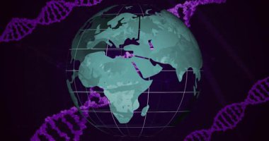 Tarzlı turkuaz kürede DNA sarmal zemin üzerindeki bölgeleri sunmak için doğuya doğru dönüyor. Küresel, kıtalar, animasyon, veri görselleştirme, teknoloji, fütüristik, biyomoleküler