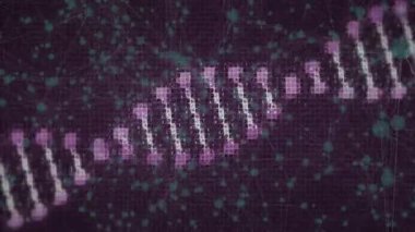 Genomik veri ağını görselleştirmek için spiral parça tepeden dönerek titreşen sarmala giriyor. Futuristik, soyut, dijital, teknoloji, ağ, veri, bilimsel