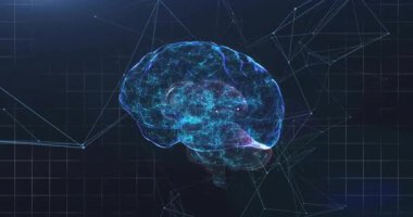 Açılışta, holografik beyin laboratuvarda nöral ağı görselleştirirken sola dönüyor. Nörobilim, teknoloji, soyut, dijital, yenilik, gelecekçilik, görselleştirme