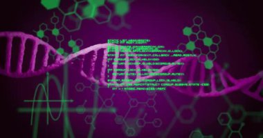 Moleküler motifler, dalga biçimi ve kod güncellemesi ile veriyi görselleştirmek için dönen 3 boyutlu DNA sarmalı. Fütürist, bilimsel, dijital, biyoteknoloji, animasyon, teknoloji, yenilik