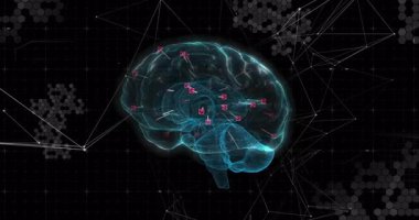 3 boyutlu holografik beyin sol profili saat yönünde döndürüyor, sinirsel taramayı gösteren düğümleri aydınlatıyor. Teknoloji, yenilik, nörobilim, görselleştirme, fütüristik, veri, dijital
