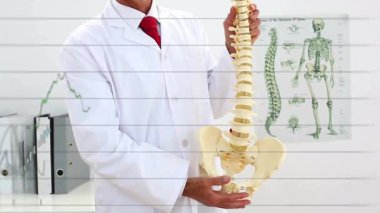 Omurgayı açıklayan dinamik grafikler başlatan klinikteki omurga modelini ayarlayan tıbbi uzmanlar. Eğitmen, bilim, animasyon, sağlık, eğitim, meslek, tanı