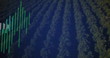 Izgara örtüsü, meyve bahçesi eğilimlerini takip eden veri çubuklarının kaymasını, büyümesini ve trend çizgilerini tetikler. Veri analizleri, grafik arayüzü, veri görselleştirme, kırsal arazi, tarım teknolojisi, modern tasarım, bilgi grafikleri