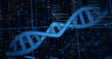 Veri güncellemesinde, saat yönünde dönen ve nabız kodunu görselleştirmek için sağa doğru çeviren 3 boyutlu DNA sarmalı. Fütürist, biyoteknoloji, görselleştirme, dijital, moleküler, bilimsel, yüksek teknoloji