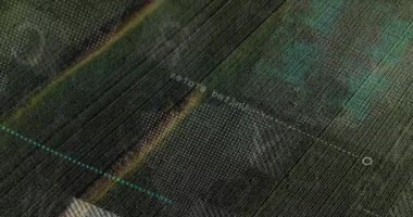 Genel görünüm ekin satırlarında veri ızgarası oluşturuluyor, tarama sonucunda analiz için blok kümeleri ortaya çıkıyor. Hassas tarım, veri görselleştirme, İHA görüntüleri, teknoloji, izleme, dijital haritalama, sürdürülebilirlik