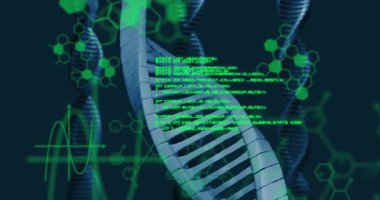 Altıgen merkezli DNA sarmalı ECG titreşimli kaydırma kodu analiz için dönen ikinci sarmal. Moleküler, biyoteknoloji, siber, dijital, geleceksel, analitik, bilimsel