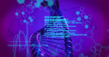 3 boyutlu DNA sarmalında kod blokları görünür. Moleküler analiz için yüzler ortaya çıkar. Fütürist, bilimsel, biyoteknoloji, dijital, moleküler, görselleştirme, yenilik