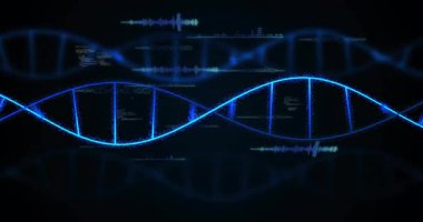 Gelişmekte olan mavi eğri DNA sarmalını başlatarak dalga formları oluşturur ve verileri gösteren kodları kaydırır. Biyoteknoloji, veri görselleştirme, dijital sanat, bilimsel, fütüristik, soyut, teknoloji