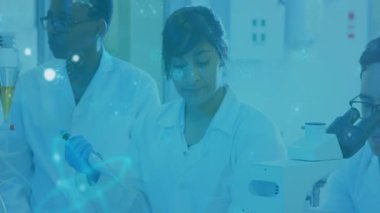 Meslektaşlar matarayı ayarlayıp verileri kontrol ederken, pipet asistanlığı ve kimya testine başlamak. Bilim adamları, işbirliği, kesinlik, yenilik, bilimsel, analitik, laboratuvar