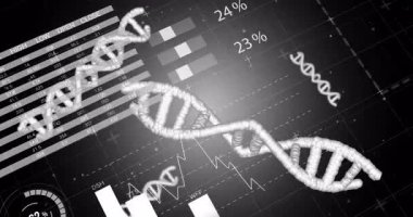 Başlangıçta beyaz DNA sarmalı yükselen gösterge düşüşü etiketleri kaybolan çizelgeler kayan harita verileri gösteriyor. Biyoteknoloji, veri analizi, bilimsel görselleştirme, sağlık, yenilik, teknoloji, dijital arayüz