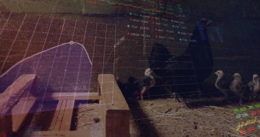 Laptop görüntüsü kullanarak gülümseyen iş adamlarının veri işleme görüntüsü. Tıbbi araştırma teknolojisi ve spor konsepti dijital olarak oluşturulmuş görüntü.