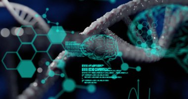 Siyah arka planda bilimsel veriler üzerinde dönen DNA görüntüsü. Bilim, biyoloji, veri işleme ve dijital olarak üretilen görüntü konsepti.