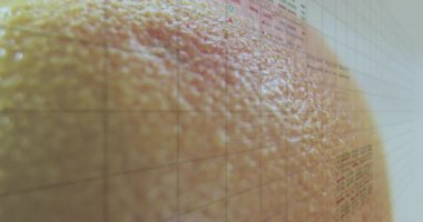 Izgara kabuk üzerine yayılıyor, işaretleyiciler ortaya çıkıyor, çizelgeler verileri gösteriyor. Soyut, yenilik, teknoloji, görselleştirme, analitik, fütüristik, dijital