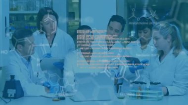 Laboratuvar araştırmacıları bulguları ve ortaya çıkan canlandırılmış kimyasal formülleri tartışırken dizüstü bilgisayarı kullanıyorlar. Bilim insanları, işbirliği, yenilik, moleküler, analiz, enstrümantasyon, veri görselleştirme
