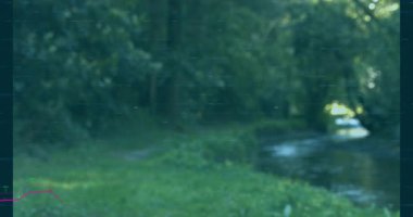 Soluk morumsu çizgiler, yükselen eğilimi gösteren orman akıntısı üzerinde şamdan çizelgesi canlandırması başlatıyor. Doğa, finans, büyüme, yeşillik, teknoloji, manzara, yatırım