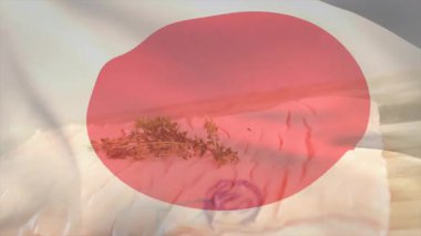 Japon bayrağı dalgalanıyor, parşömen tahtasının üzerinde kıvrılıyor esinti ile somon filetosunu kekik ile ortaya çıkarıyor. Vatanseverlik, aşçılık, tazelik, minimalizm, doğal, doku, hareket