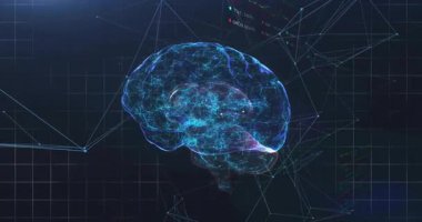 3 boyutlu beyin yüzüyor ve dönüyor, verileri açığa çıkarıyor, grafiği takip ediyor ve analiz için zaman ilerliyor. Nöral ağ, veri analizi, gelecekçi, teknolojik, yenilikçi, görselleştirme, soyut