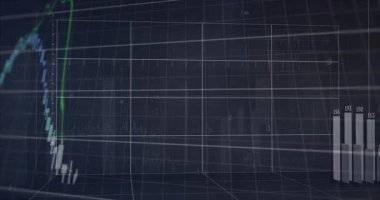 Ortaya çıkan karanlık şebekeler, çubuklarla, şamdanlarla ve pazar büyümesini gösteren çizgilerle üç boyutlu finans grafiği canlandırıyor. Teknoloji, analitik, yenilik, dijital, veri, görselleştirme, gelecekçilik