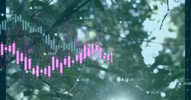 Güneşli yapraklar ızgarayı, pembe çizgileri, büyüyen çizgileri, kısalmayı, trend değişimlerini gösteriyor. Doğa, veri görselleştirme, teknoloji, organik, analitik, dijital, büyüme